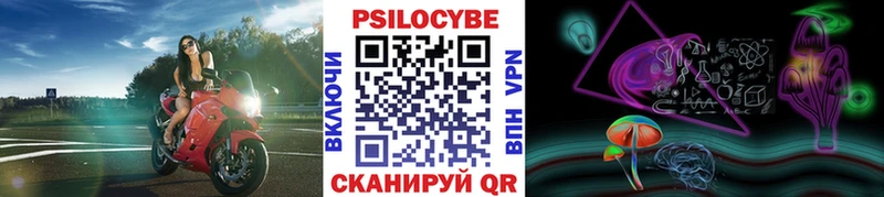 Псилоцибиновые грибы Psilocybe  купить наркоту  Россошь 